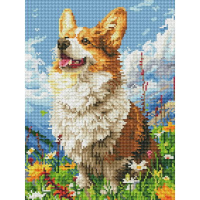 Алмазна мозаїка Сонячний Коргі Brushme 30 х 40 DRBS53943