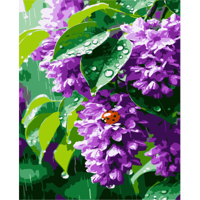 Картина за номерами Бузок Artissimo  40 х 50 PN8694