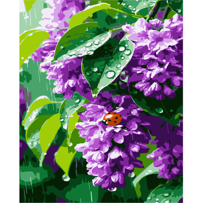 Картина за номерами Бузок Artissimo  40 х 50 PN8694