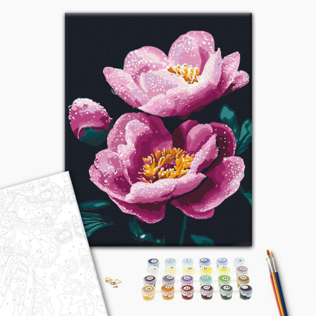 Картина по номерам Утренняя свежесть BrushMe 40 х 50 BS54155