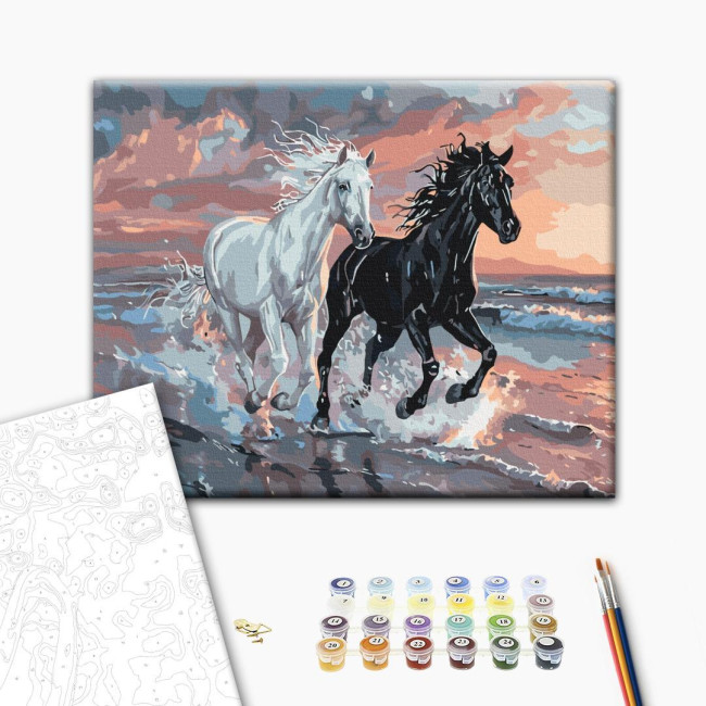 Картина за номерами Дует вітрів Brushme 40 х 50 BS54025