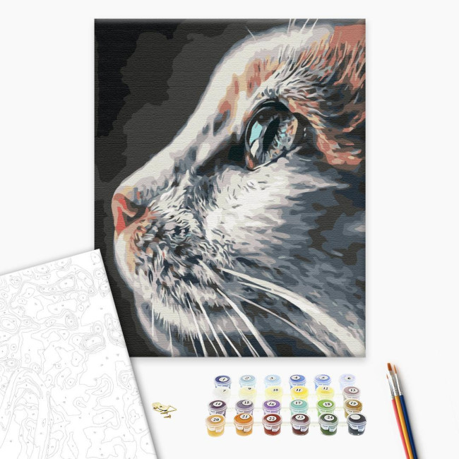 Картина за номерами Котопрофіль  40 х 50 Brushme  BS51792