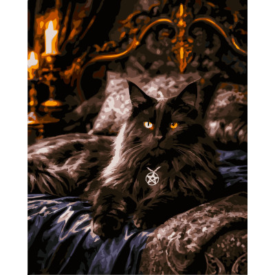 Картина за номерами Містичний Мейн Кун 40 х 50 Artissimo  PN5507