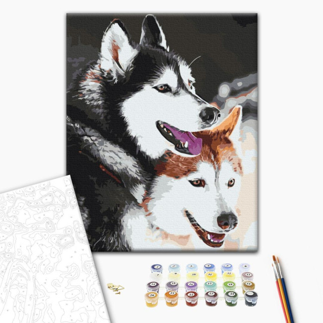 Картина за номерами Хаскі Brushme  40 х 50 BS28714