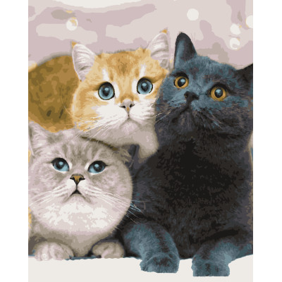 Картина за номерами Котейки 40 х 50 Artissimo PN4203