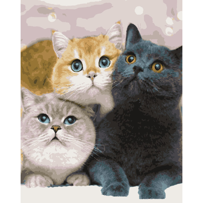 Картина за номерами Котейки 40 х 50 Artissimo PN4203