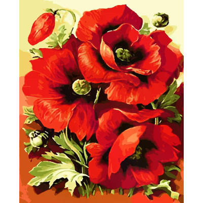 Картина за номерами Яскраві маки Artissimo  40 х 50  PN6509