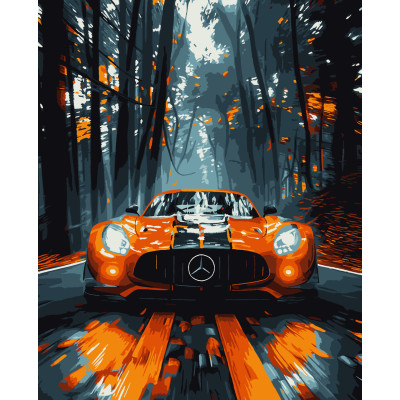 Картина за номерами Мерседес Artissimo 40 х 50 PN9656