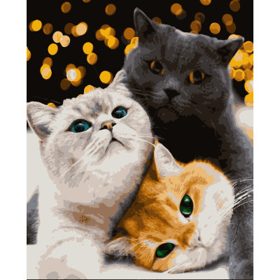 Картина за номерами Муркотики 40 х 50 Artissimo PN4200