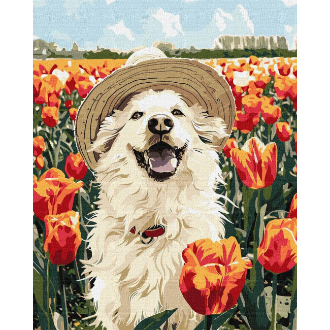 Картина по номерам Счастливый лабрадор Идейка 40 х 50 KHO6623