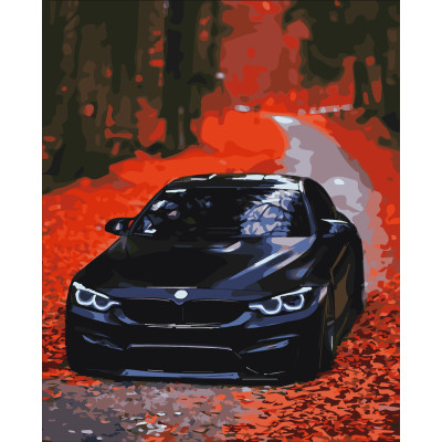Картина за номерами BMW 40 х 50 Artissimo PN9652